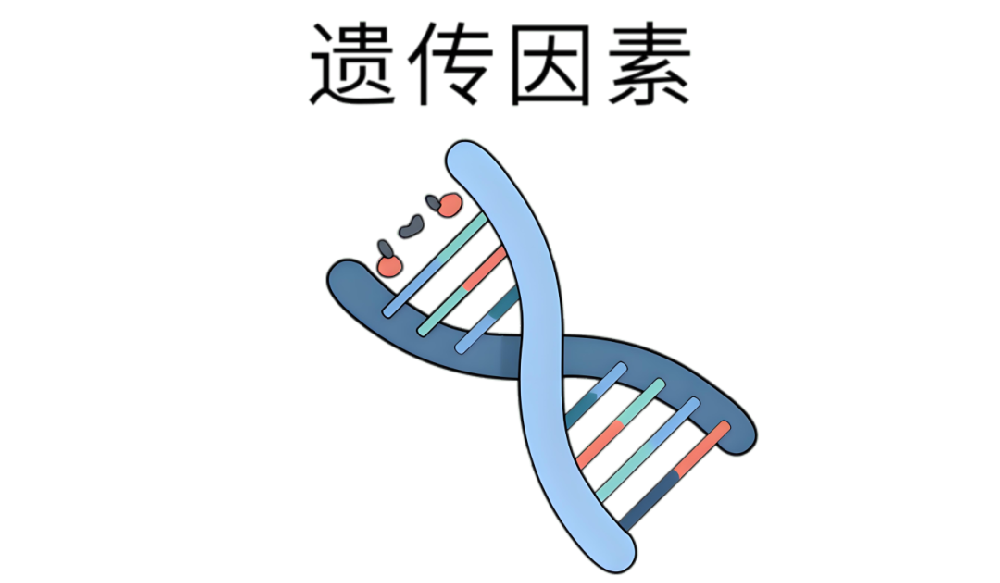 无标题.png